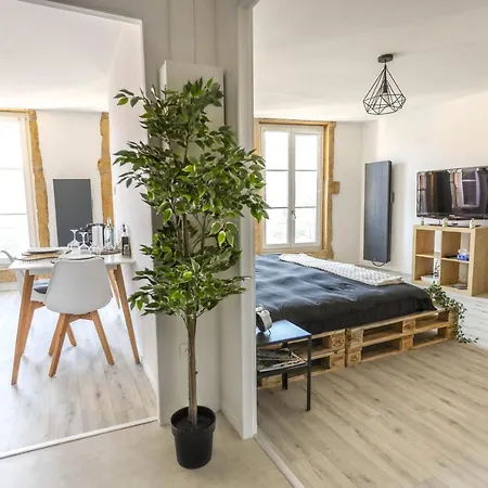 Grand Confort Au Coeur Du Centre Metz