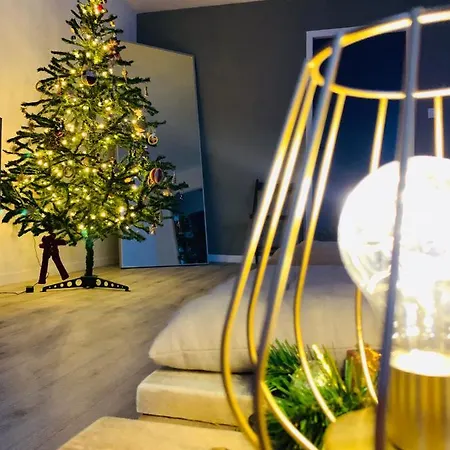 Grand Confort Au Coeur Du Centre Lejlighed