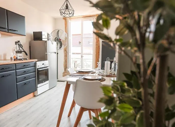 Grand Confort Au Coeur Du Centre 公寓 *