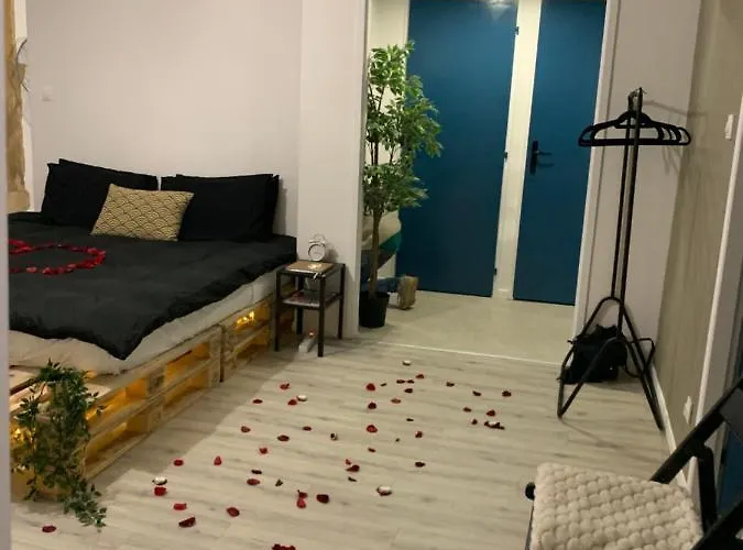 Grand Confort Au Coeur Du Centre 公寓 *