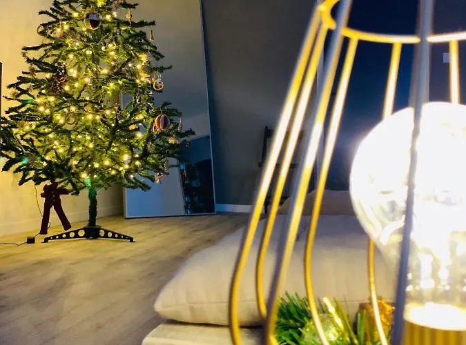 Grand Confort Au Coeur Du Centre 公寓